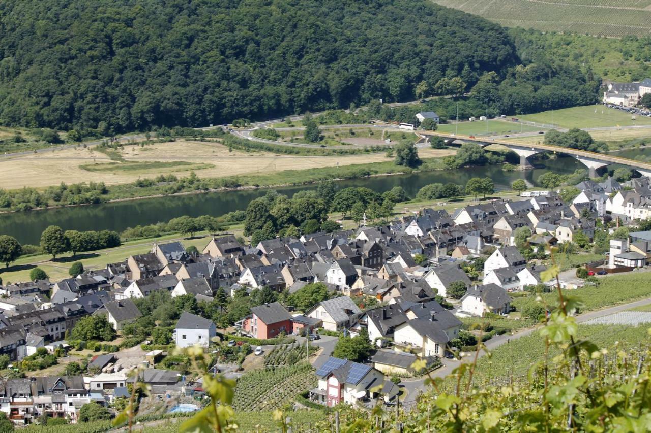 Ferienhaus Moselblick Mit Kostenfreien Oepnv-Ticket Ürzig Εξωτερικό φωτογραφία
