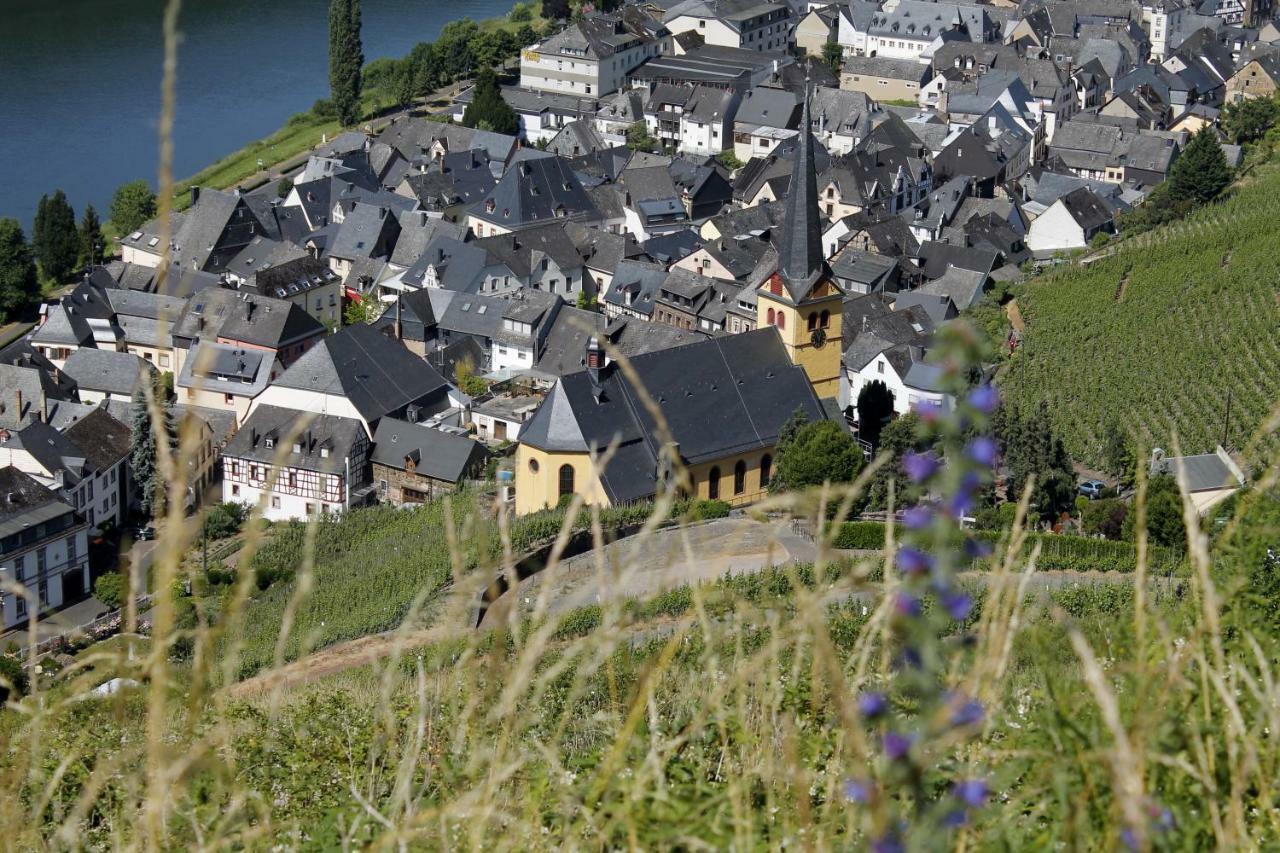 Ferienhaus Moselblick Mit Kostenfreien Oepnv-Ticket Ürzig Εξωτερικό φωτογραφία
